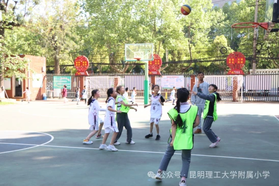 哪里能找到有关篮球训练中纪律培养的方法_0
